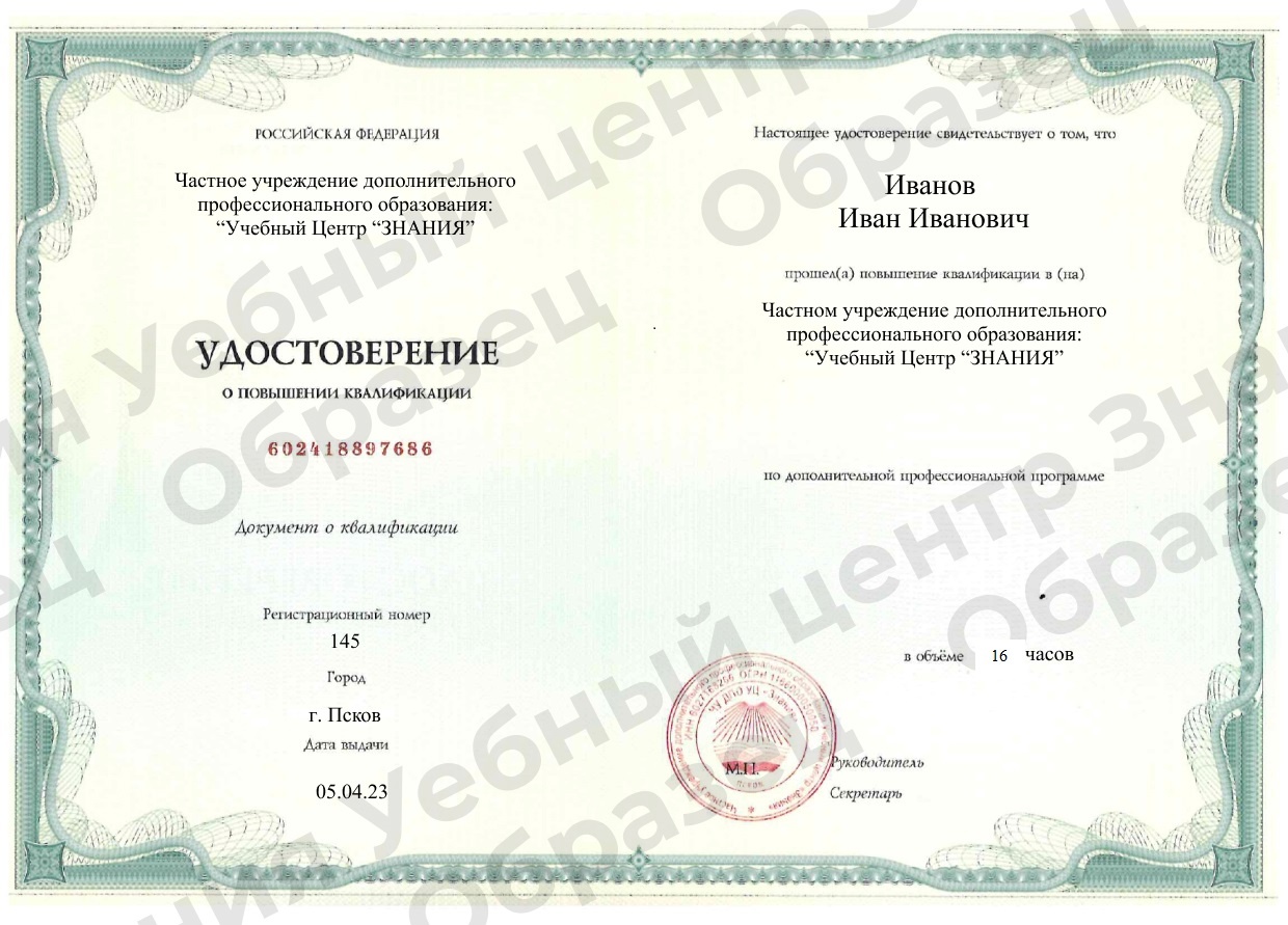 Выдаваемый документ Выдаваемый документ