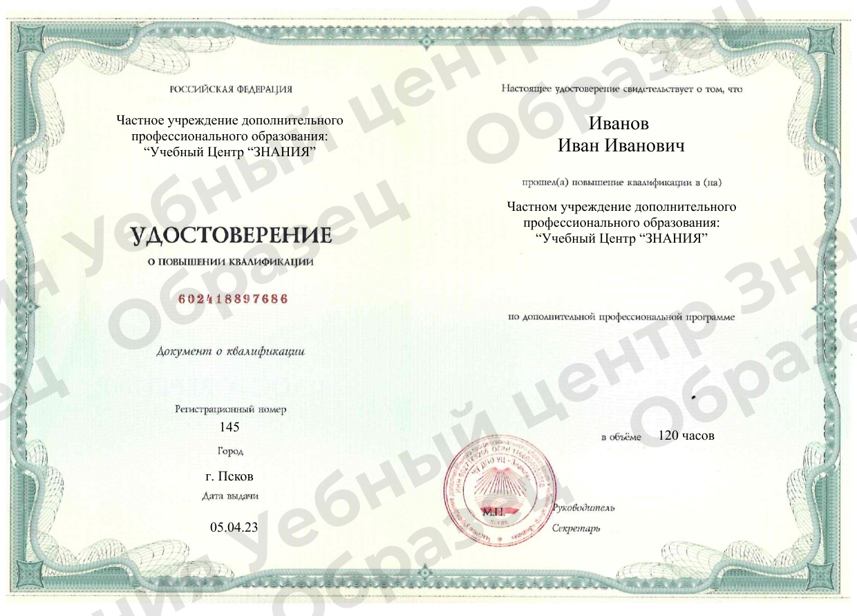 Выдаваемый документ