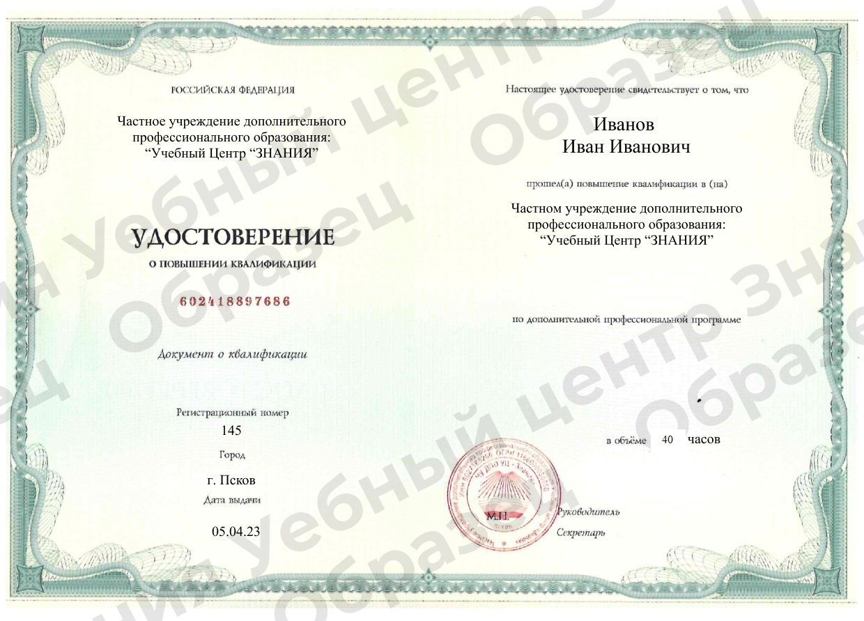 Выдаваемый документ Выдаваемый документ