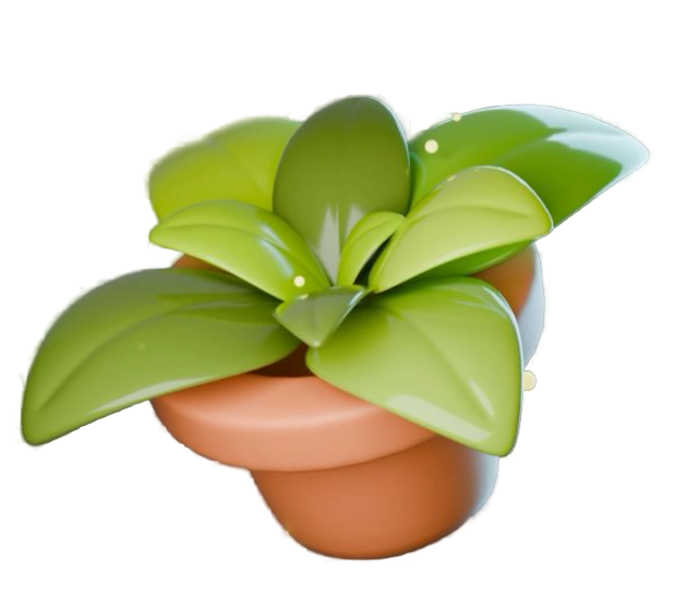 Очное обучение